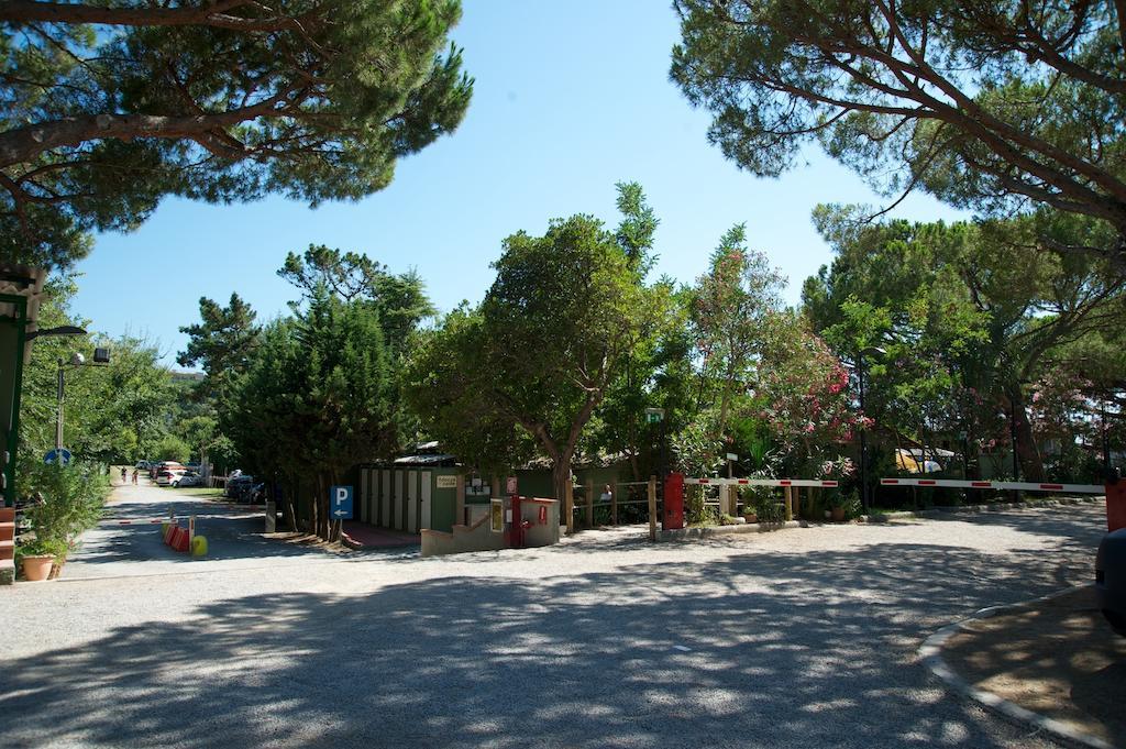 Camping Piper Puntone di Scarlino Buitenkant foto