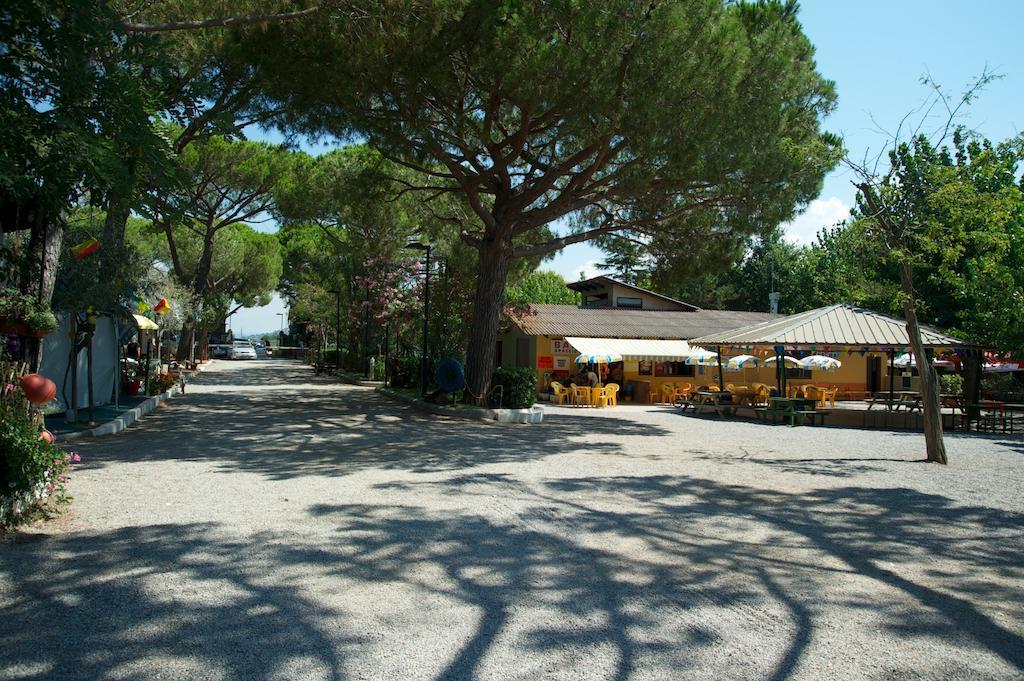 Camping Piper Puntone di Scarlino Buitenkant foto